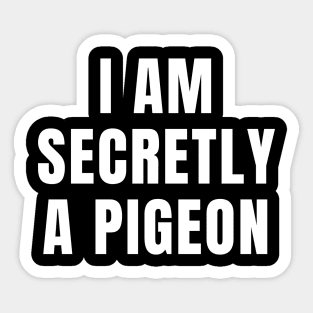 I AM SECRETLY A PIGEON Sticker